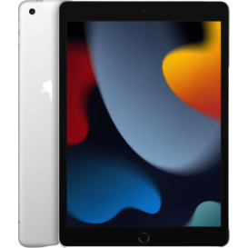 iPad 10.2 2021 Wi-Fi+Сотовая связь  256 GB Silver